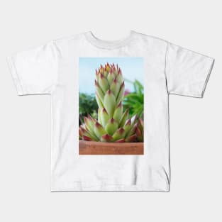 Sempervivum  'Bernstein'  Houseleek Kids T-Shirt